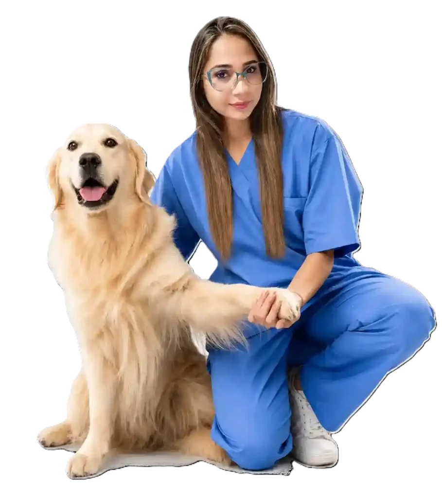 Administradora-animalia-veterinaria